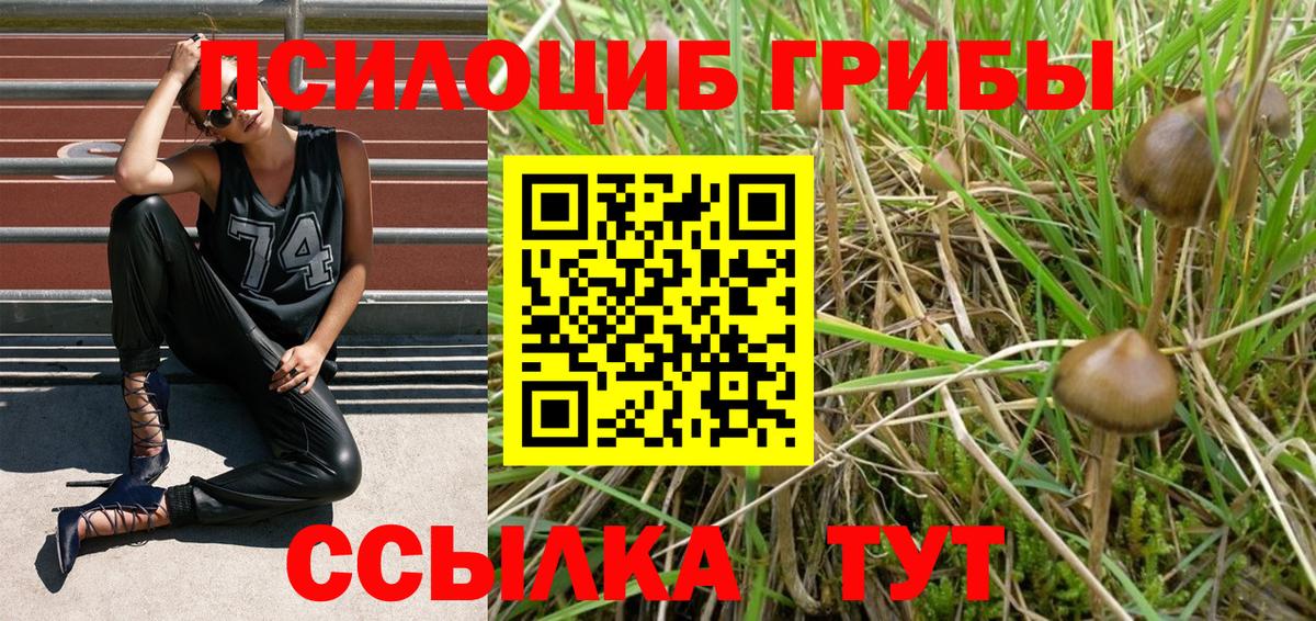 Галлюциногенные грибы Cubensis  Галлюциногенные грибы ЛСД  Родники  Вход с VPN 
