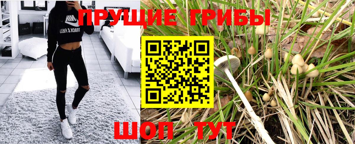 Галлюциногенные грибы Psilocybine cubensis Родники